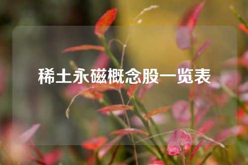 稀土永磁概念股一览表