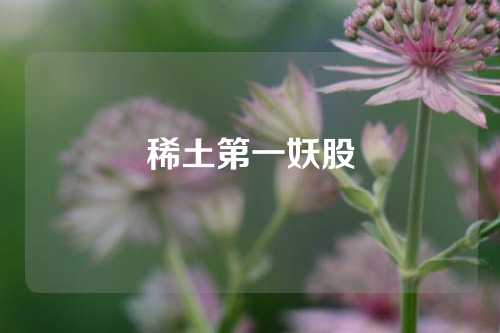 稀土第一妖股