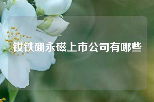 钕铁硼永磁上市公司有哪些