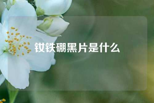 钕铁硼黑片是什么