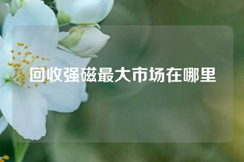 回收强磁最大市场在哪里