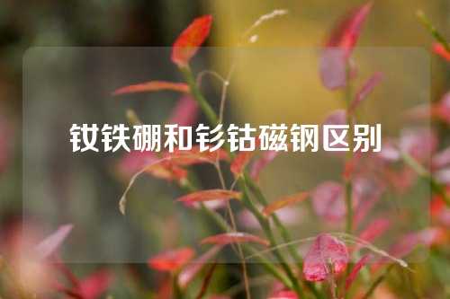 钕铁硼和钐钴磁钢区别