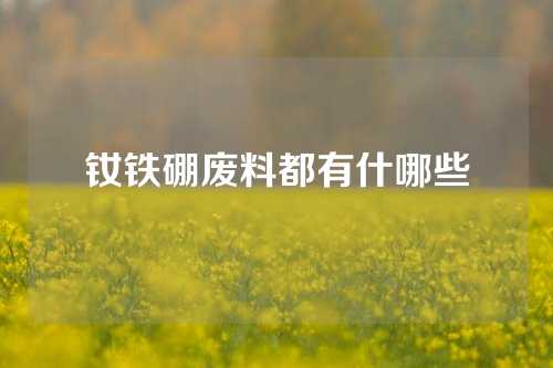 钕铁硼废料都有什哪些