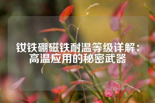 钕铁硼磁铁耐温等级详解：高温应用的秘密武器