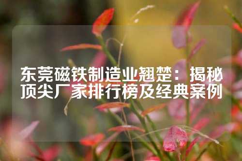 东莞磁铁制造业翘楚：揭秘顶尖厂家排行榜及经典案例