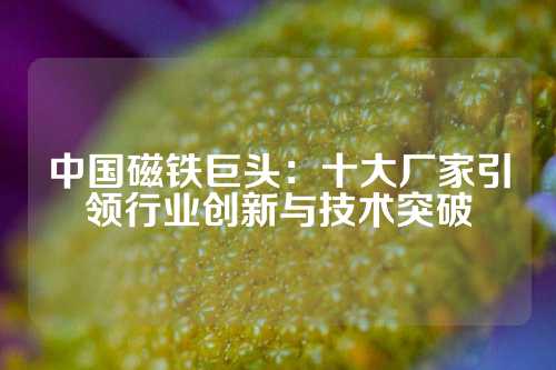 中国磁铁巨头：十大厂家引领行业创新与技术突破