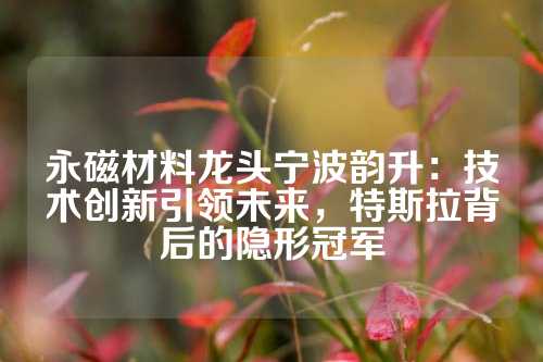 永磁材料龙头宁波韵升：技术创新引领未来，特斯拉背后的隐形冠军
