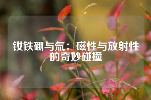 钕铁硼与氚：磁性与放射性的奇妙碰撞
