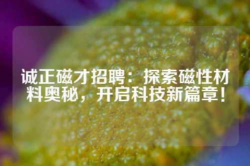 诚正磁才招聘：探索磁性材料奥秘，开启科技新篇章！