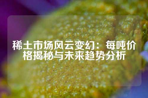 稀土市场风云变幻：每吨价格揭秘与未来趋势分析