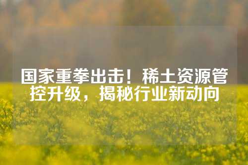 国家重拳出击！稀土资源管控升级，揭秘行业新动向