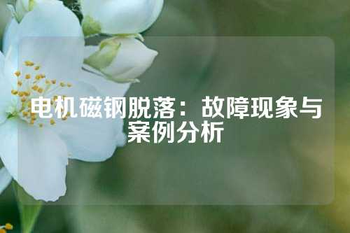 电机磁钢脱落：故障现象与案例分析