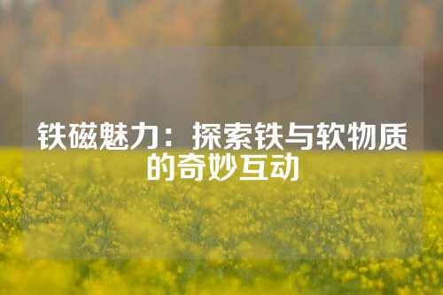 铁磁魅力：探索铁与软物质的奇妙互动
