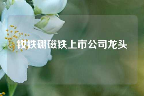 钕铁硼磁铁上市公司龙头