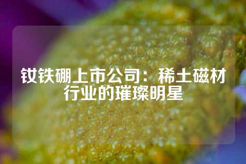 钕铁硼上市公司：稀土磁材行业的璀璨明星