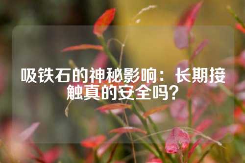 吸铁石的神秘影响：长期接触真的安全吗？