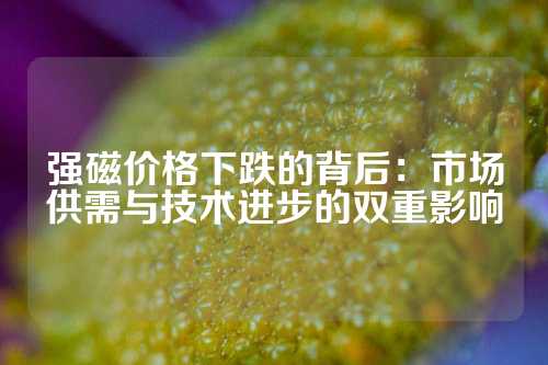 强磁价格下跌的背后：市场供需与技术进步的双重影响