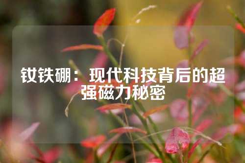 钕铁硼：现代科技背后的超强磁力秘密