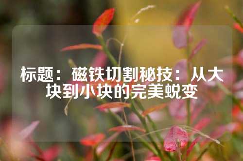 标题：磁铁切割秘技：从大块到小块的完美蜕变