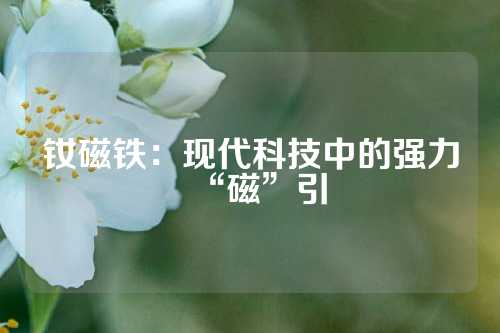 钕磁铁：现代科技中的强力“磁”引