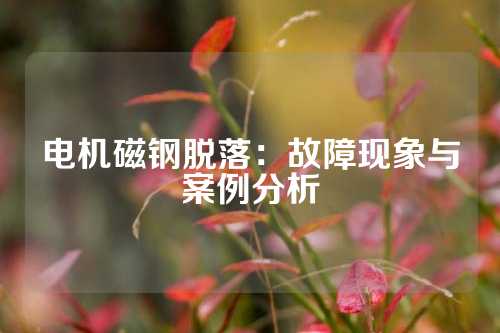 电机磁钢脱落：故障现象与案例分析