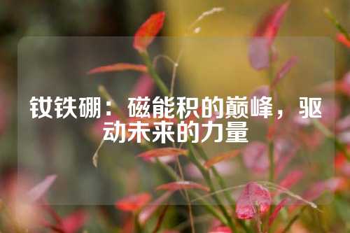 钕铁硼：磁能积的巅峰，驱动未来的力量