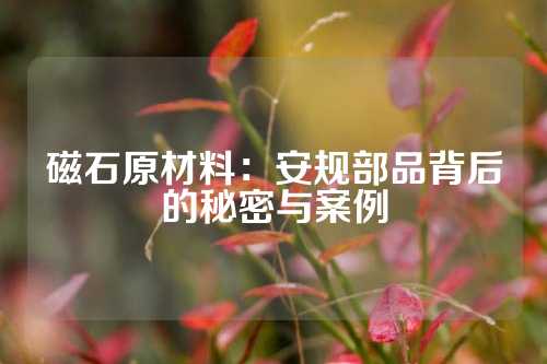 磁石原材料：安规部品背后的秘密与案例