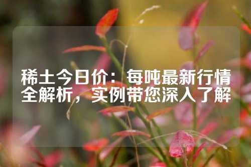 稀土今日价：每吨最新行情全解析，实例带您深入了解