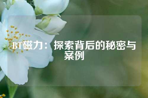 BT磁力：探索背后的秘密与案例