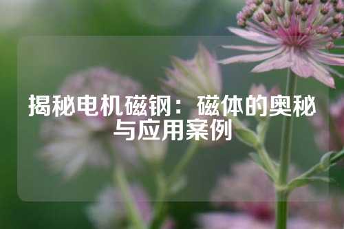 揭秘电机磁钢：磁体的奥秘与应用案例
