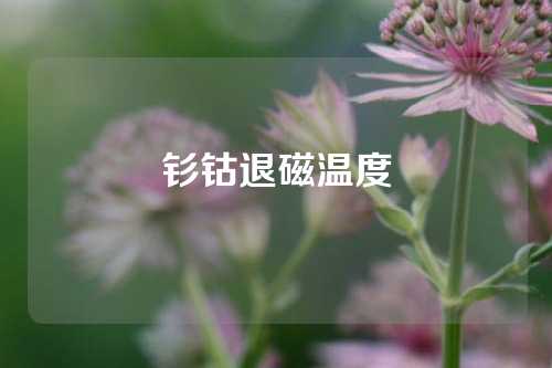 钐钴退磁温度