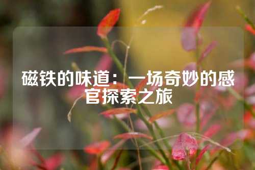 磁铁的味道：一场奇妙的感官探索之旅