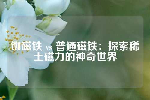 铷磁铁 vs 普通磁铁：探索稀土磁力的神奇世界