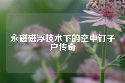 永磁磁浮技术下的空中钉子户传奇