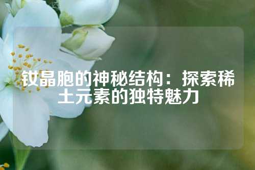 钕晶胞的神秘结构：探索稀土元素的独特魅力