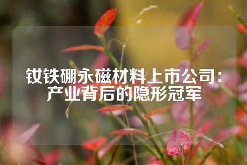 钕铁硼永磁材料上市公司：产业背后的隐形冠军