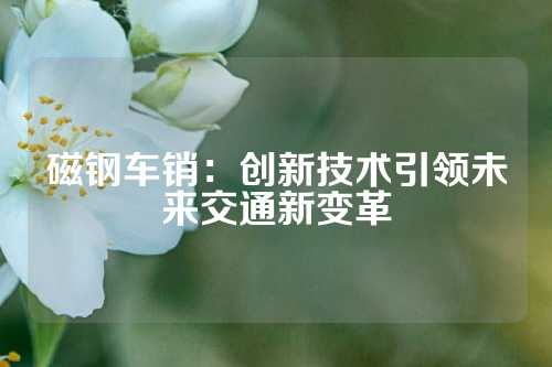 磁钢车销：创新技术引领未来交通新变革