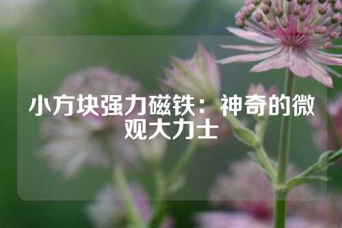 小方块强力磁铁：神奇的微观大力士