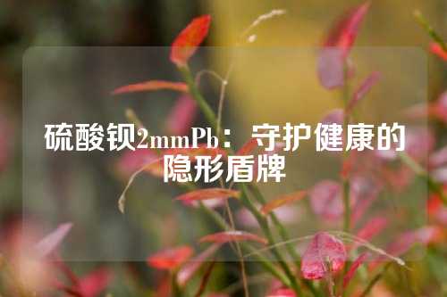 硫酸钡2mmPb：守护健康的隐形盾牌