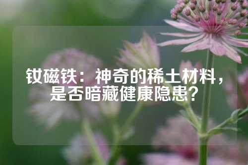 钕磁铁：神奇的稀土材料，是否暗藏健康隐患？
