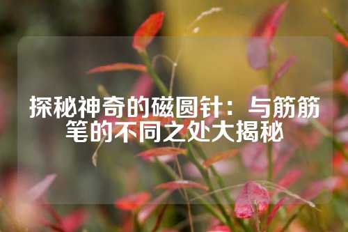 探秘神奇的磁圆针：与筋筋笔的不同之处大揭秘