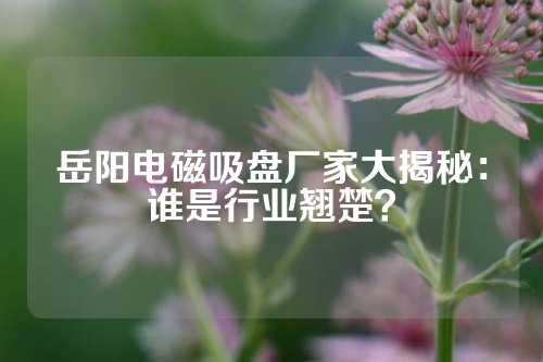 岳阳电磁吸盘厂家大揭秘：谁是行业翘楚？