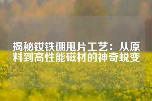 揭秘钕铁硼甩片工艺：从原料到高性能磁材的神奇蜕变